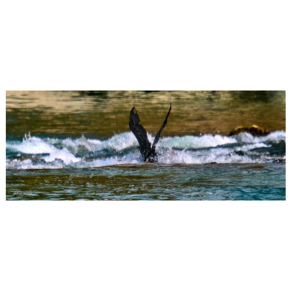 PHOTO84, CLUB, 84 , LUBERON